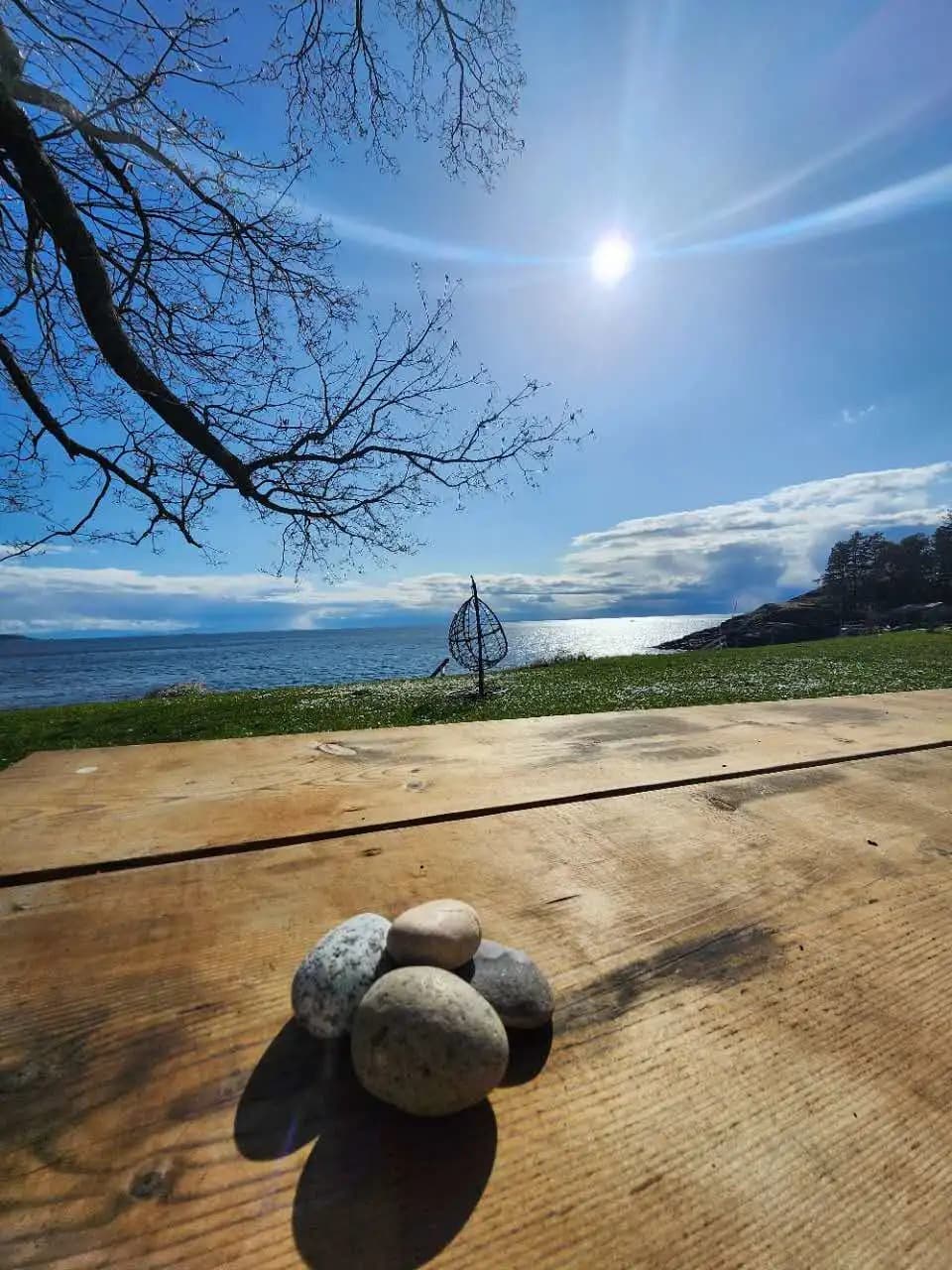 Sleep Under the Stars (Literally!) ✨ Seal Bay Glamping: Cabins & Space Capsules Near Vancouver!