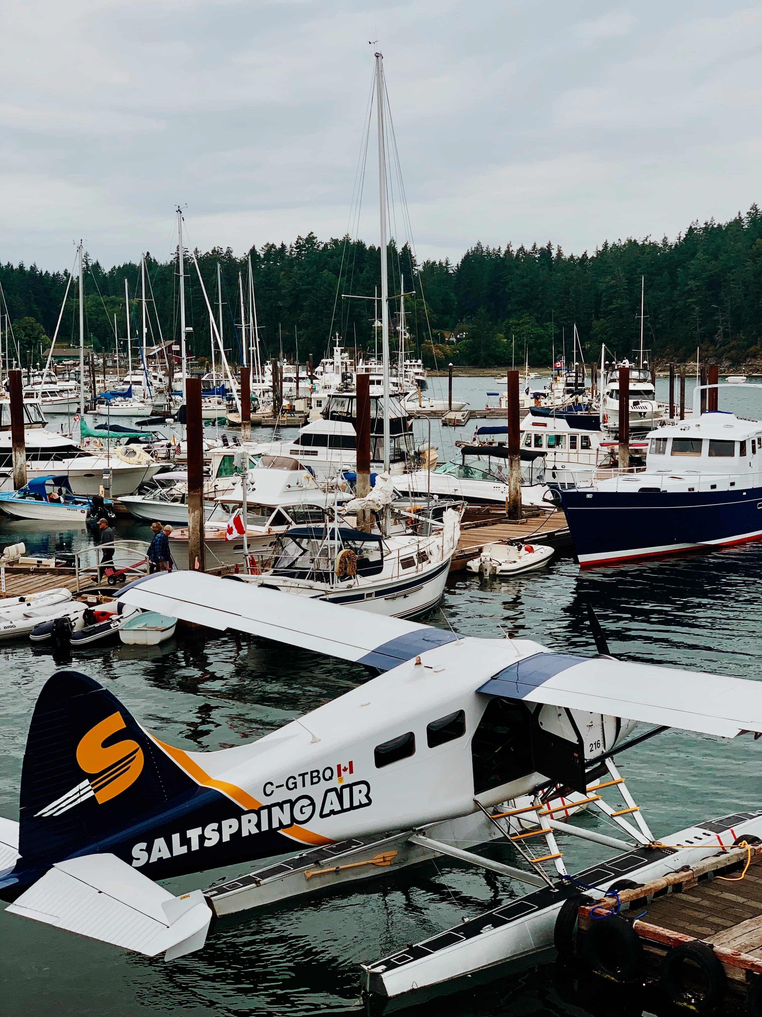 Salt Spring Island Bliss: Your Ultimate Guide (Rain or Shine!) ☀️🌧️🐑