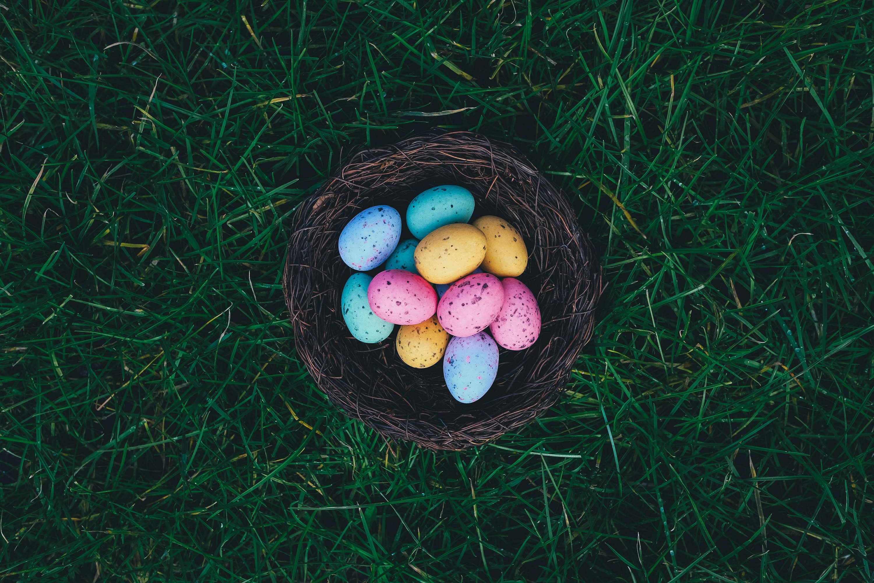 🐰 Easter & Spring Fun (Early April!)